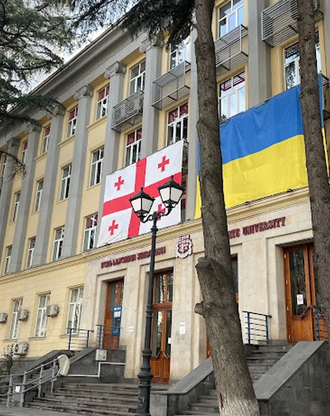 Ilia State University 6