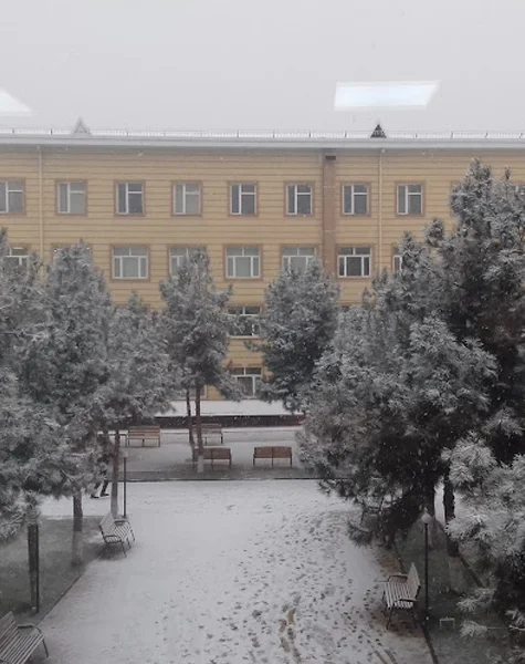 Namangan State University 3