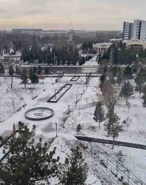 Tashkent Medical Academy 4
